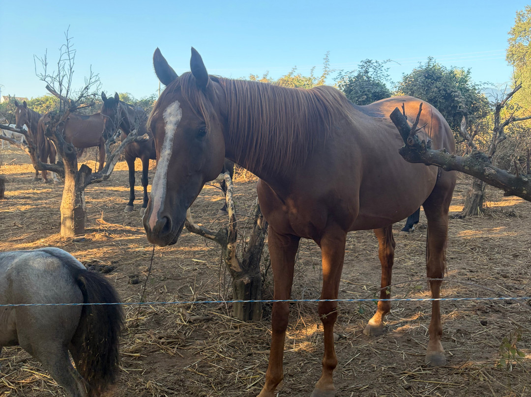 Aux Poneys d Eden-Canale-di-Verde必去景点
