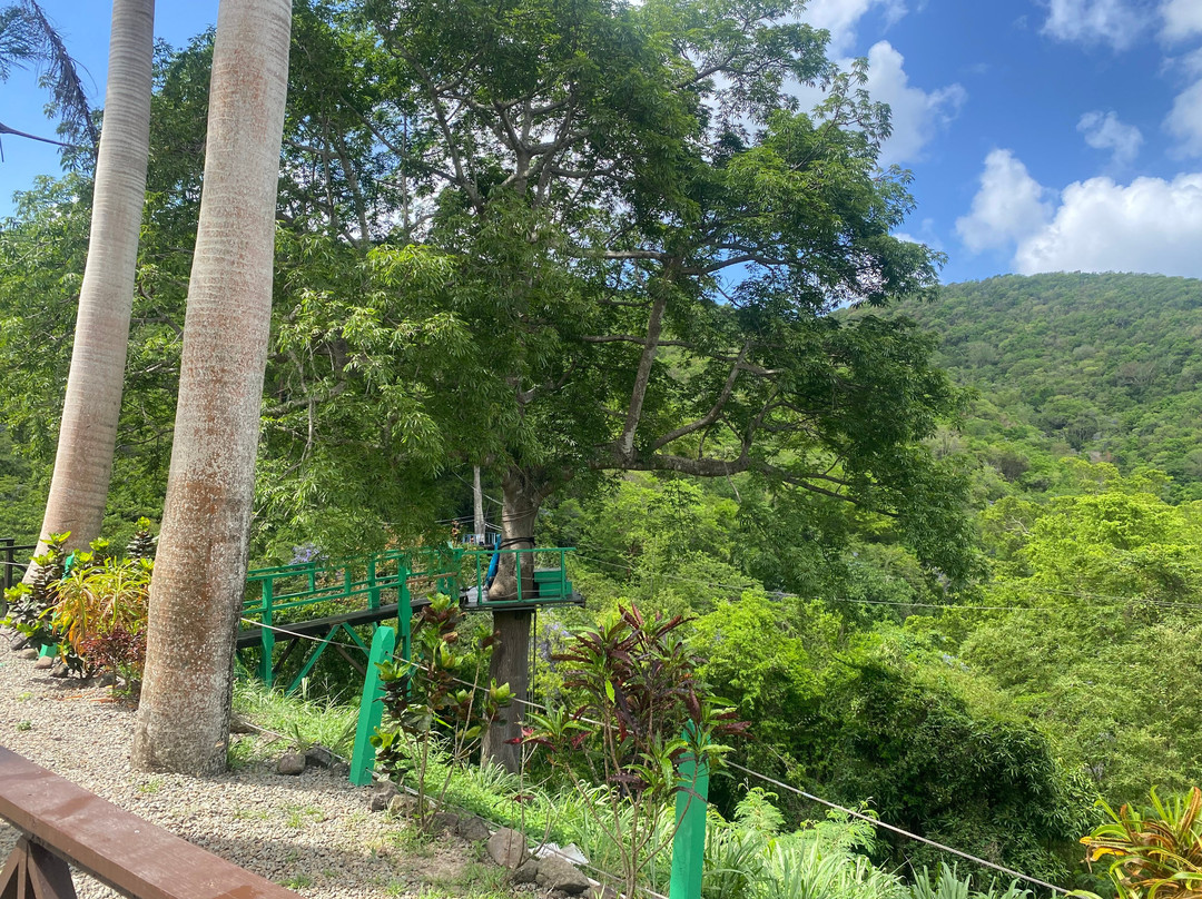Antigua Rainforest Canopy Tour-安提瓜必去景点
