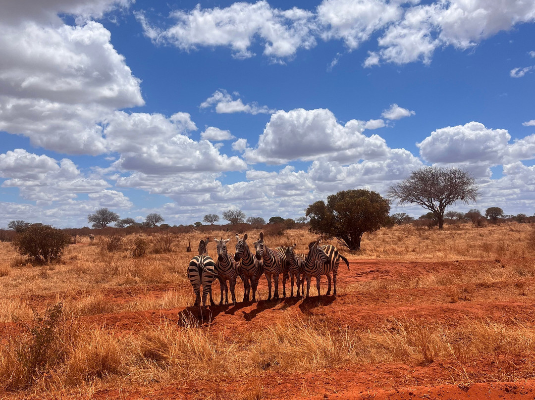 Tsavo Travel & Safaris-内罗毕必去景点