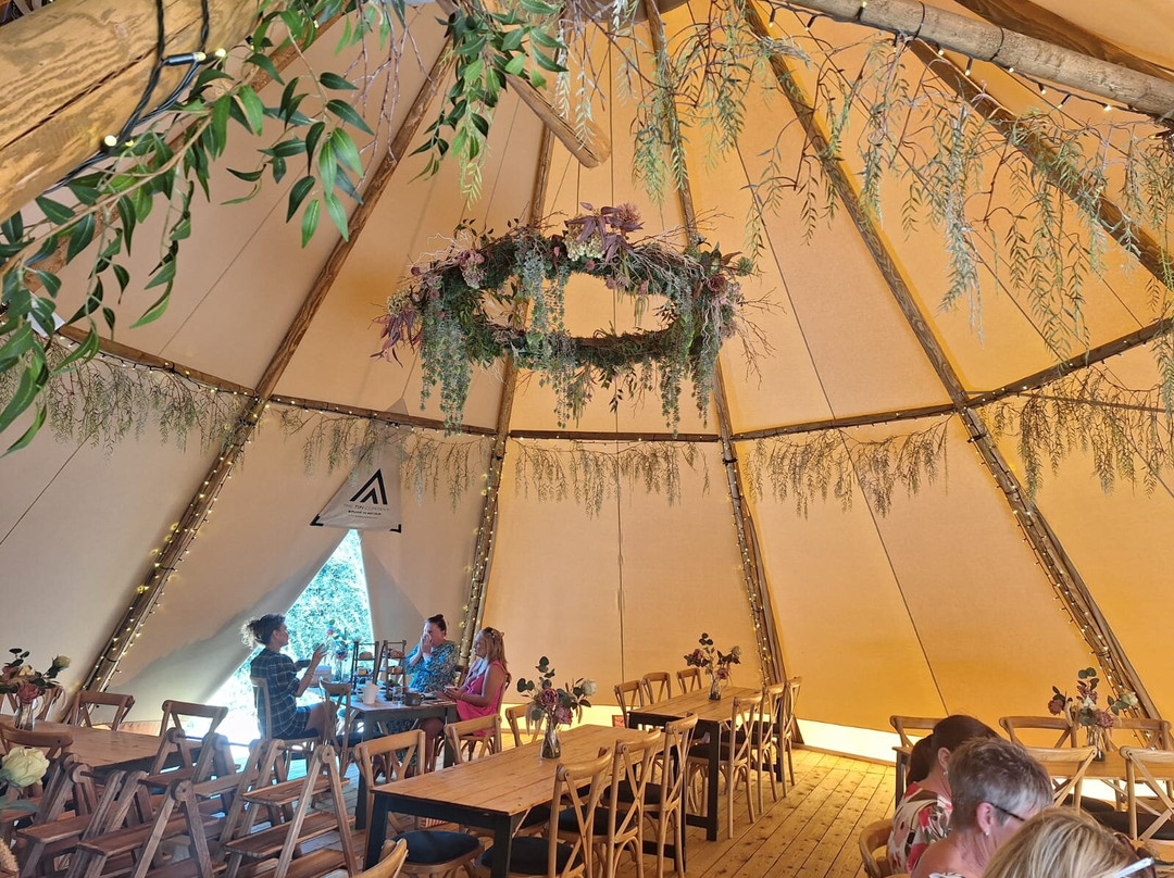 Driftwood Lodges Glamping