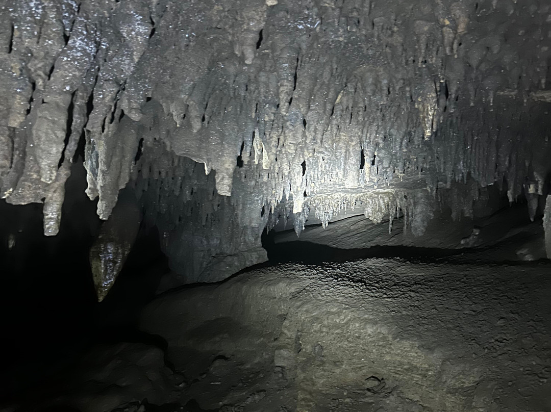 Cueva De La Vaca Gua-iti-Curiti必去景点