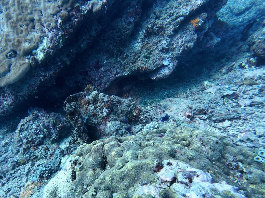 Blue Marlin Dive Gili Air-Gili Air必去景点