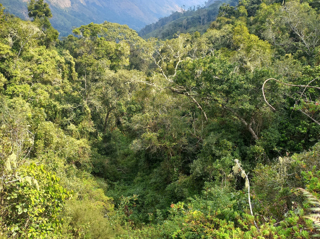 Mulanje Mountain Tour Guide-姆兰杰必去景点