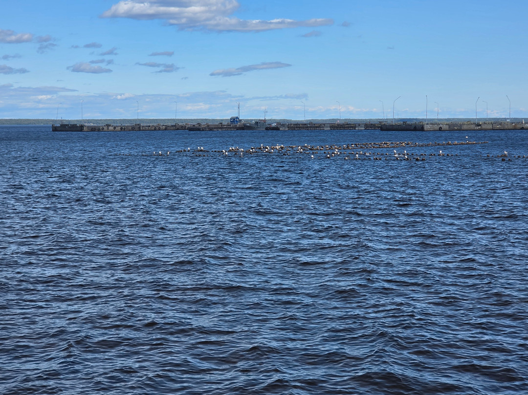 Embankment of Lake Onega-彼得罗扎沃茨克必去景点