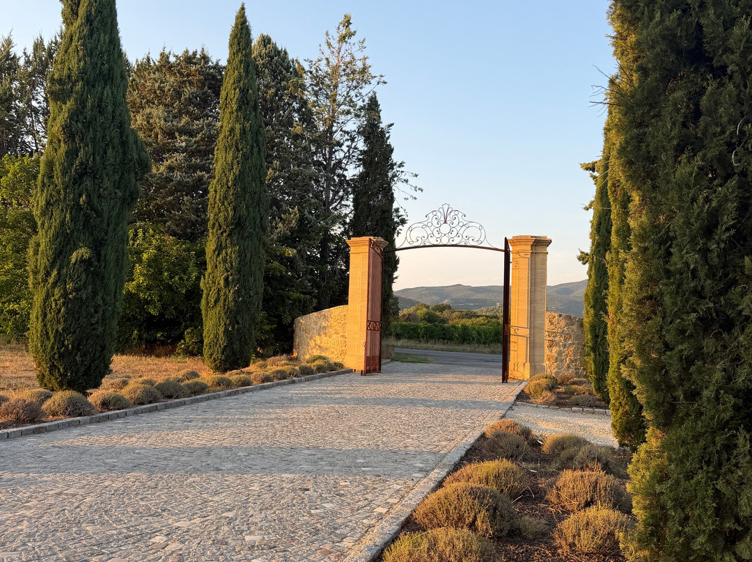 Chateau Saint-Pierre De Mejans-Puyvert必去景点