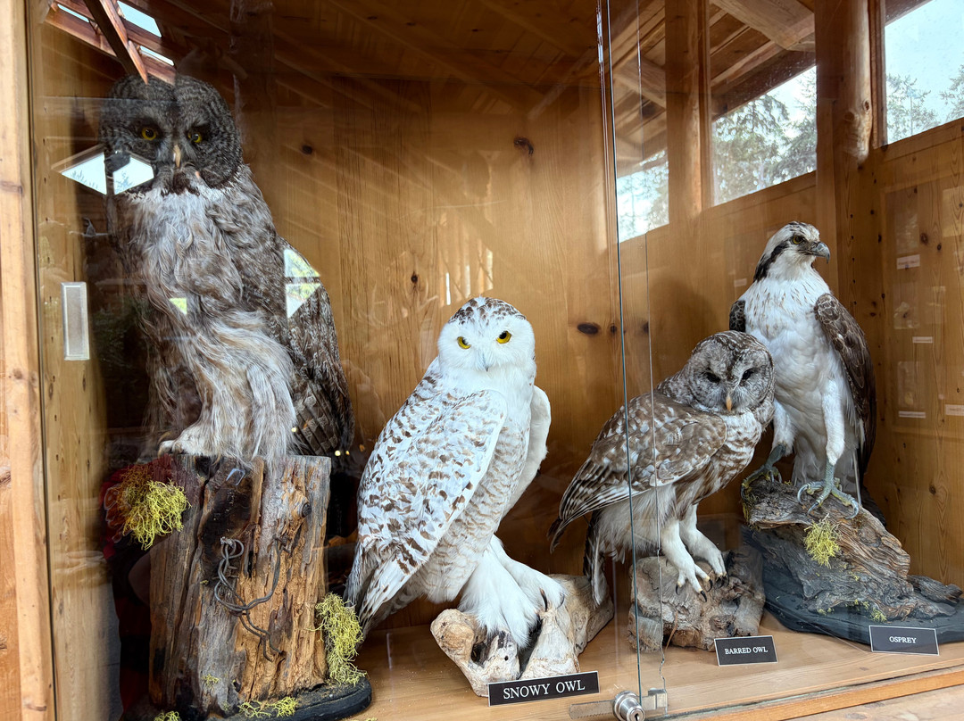 North Island Wildlife Recovery Centre-Errington必去景点
