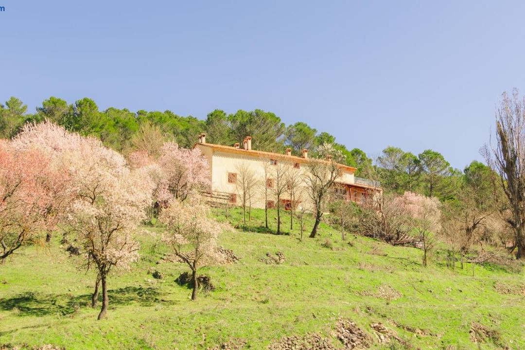La Melgosa酒店住宿-Casa Rural Mirabueno
