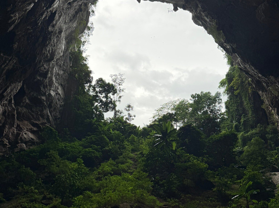 Jungle Boss Tours-峰牙－己榜国家公园必去景点