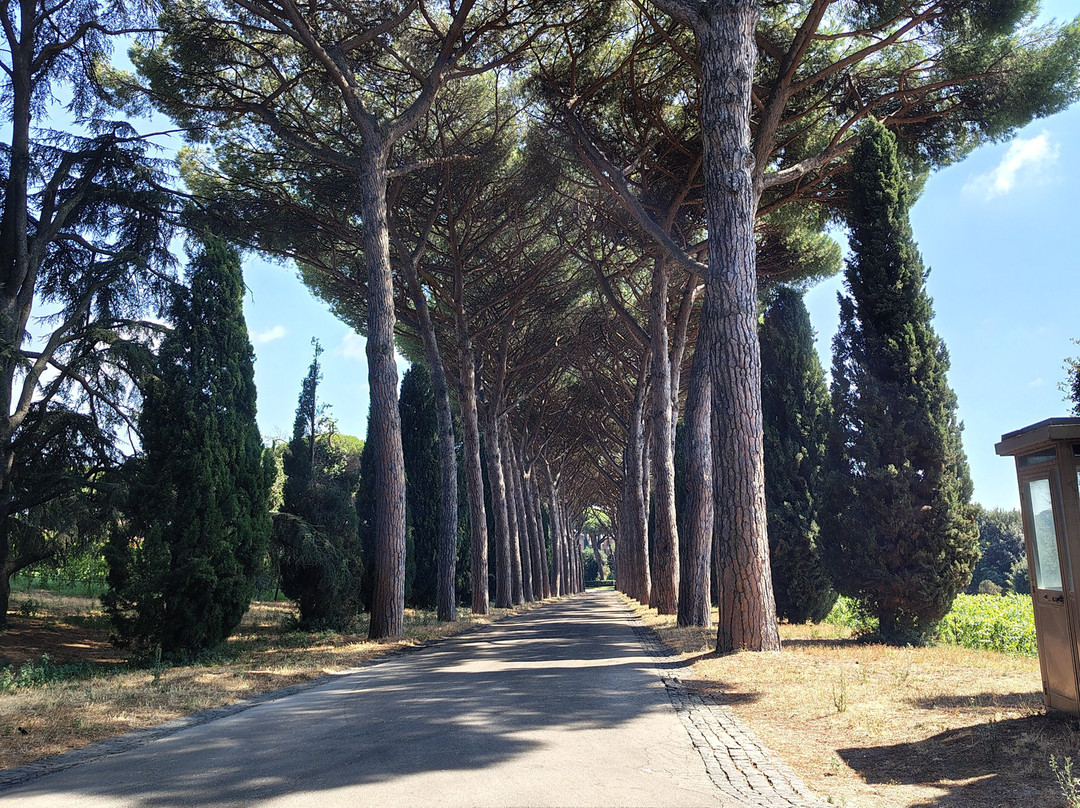 Giardini di Villa Barberini - Borgo Laudato Si'-冈多菲堡必去景点