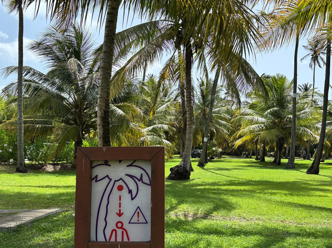 Club Med Les Boucaniers主图