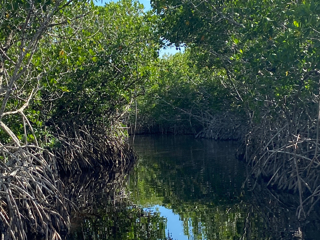 Wooten's Everglades Airboat Tour-奥乔皮必去景点
