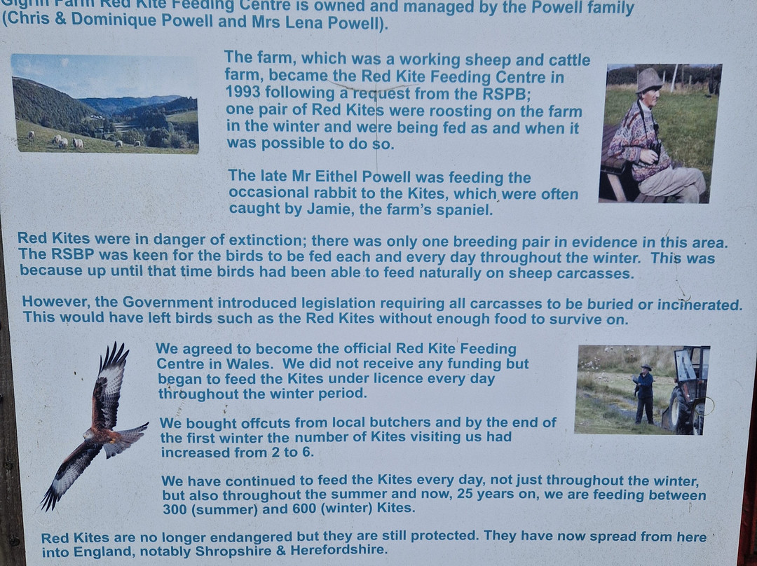 Gigrin Farm Red Kite Feeding Centre-Rhayader必去景点