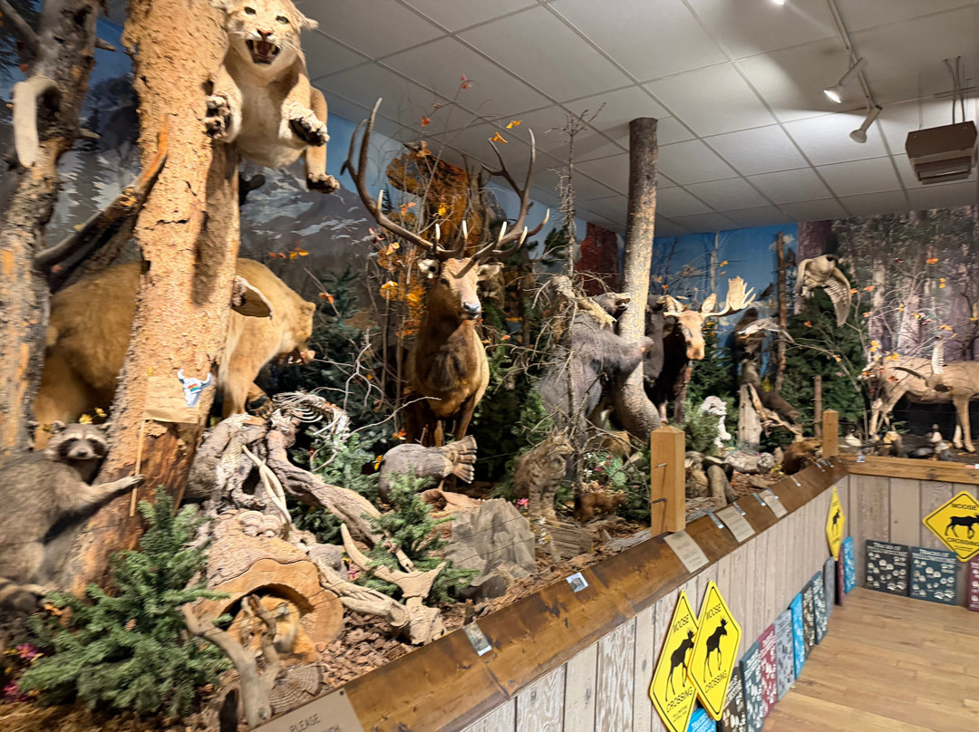 Yellowstone Trading Post-库克城必去景点