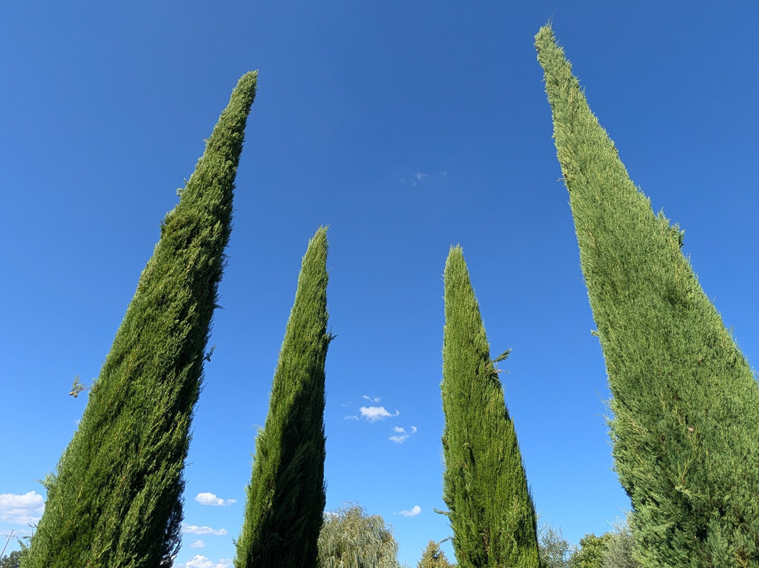 Tuscany Tours by Golden Travel-泰拉诺瓦布拉乔利尼必去景点