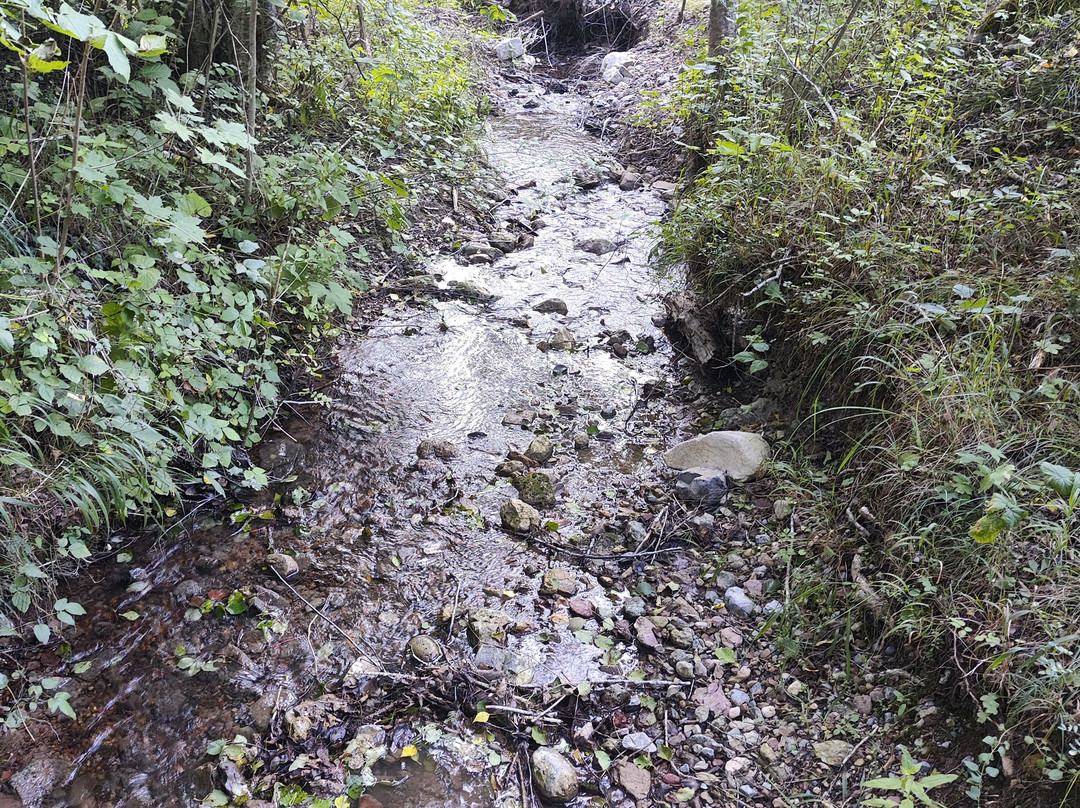 Camping des Rouges Gorges