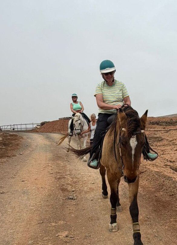 Horses Lanzarote-Teseguite必去景点