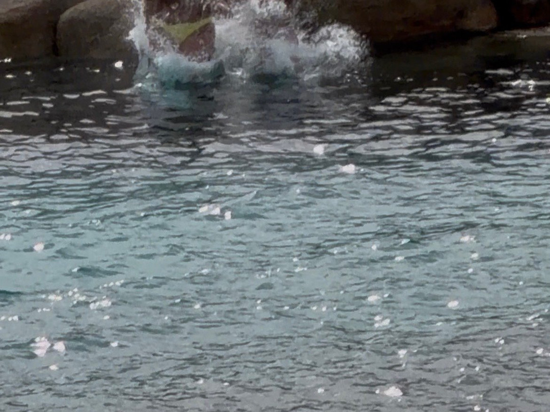 Spiaggia di Cala Coticcio-拉马达莱娜必去景点