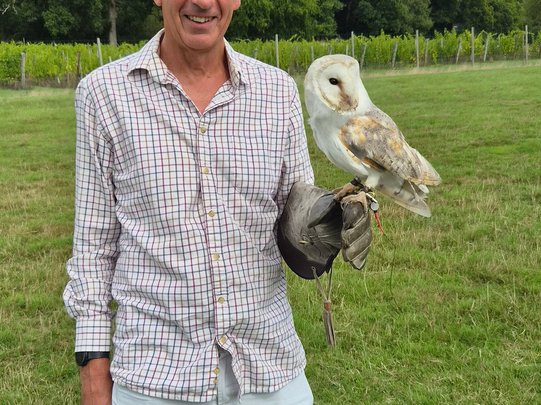 UK Owl And Raptor Centre-Groombridge必去景点