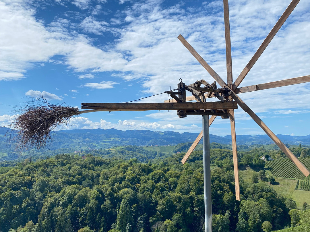 Šerbinek Winery & the Heart-Shaped Wine Road-Zgornja Kungota必去景点