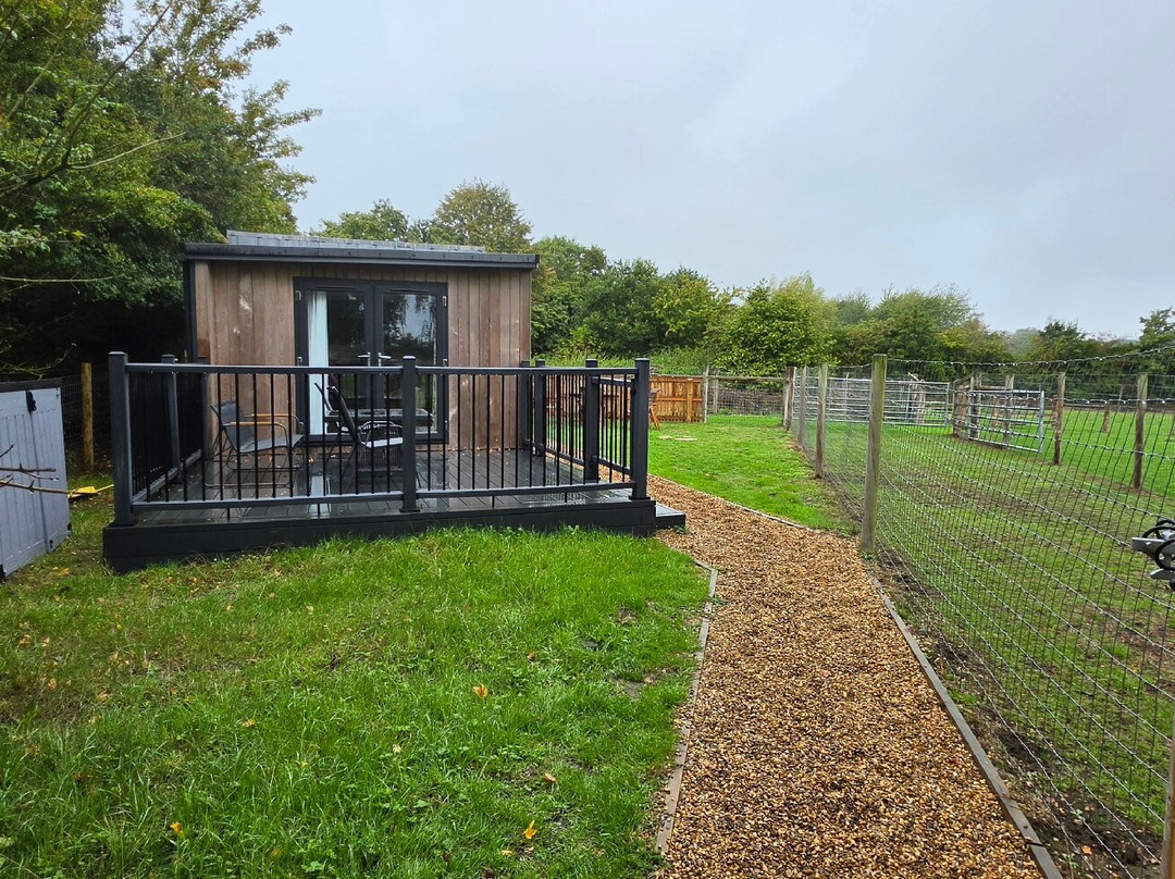 Stubbs Farm Alpacas-Loddon必去景点