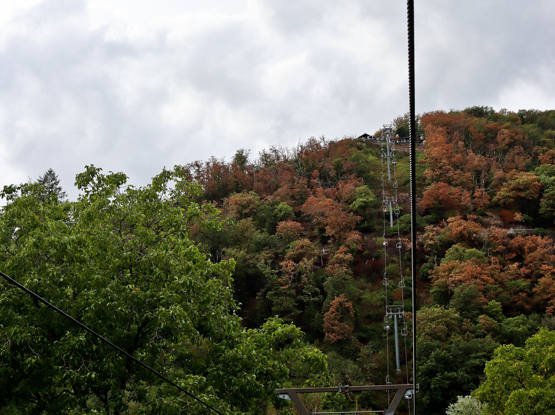 Vianden Chairlift-维安登必去景点
