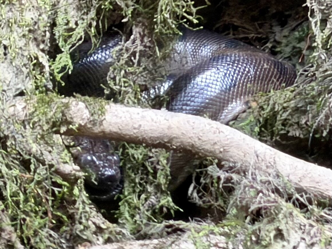 Cuyabeno Wildlife Center