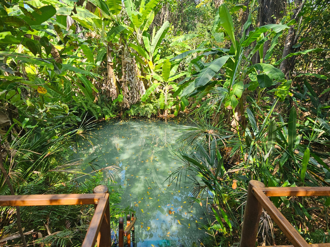 Buriti Adventure-Ponte Alta do Tocantins必去景点