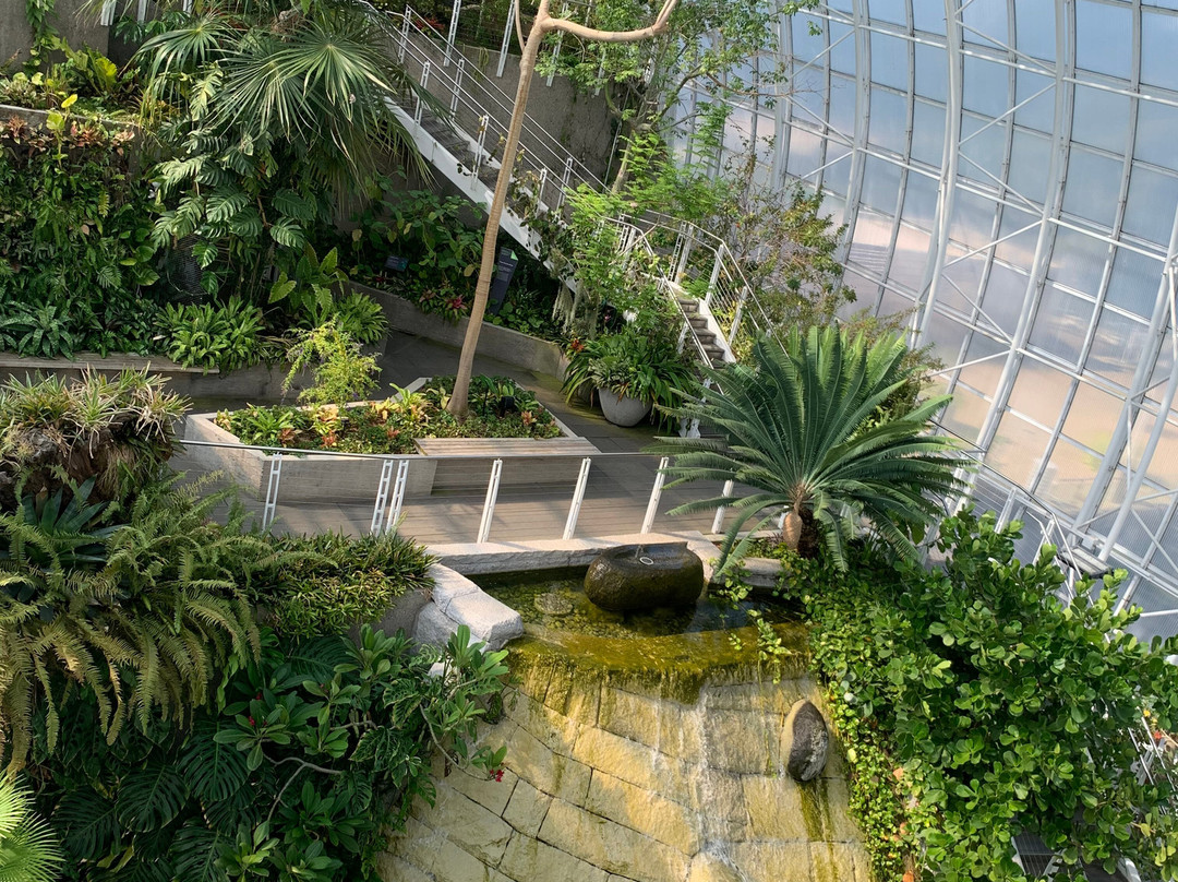 Myriad Botanical Gardens-俄克拉何马城必去景点
