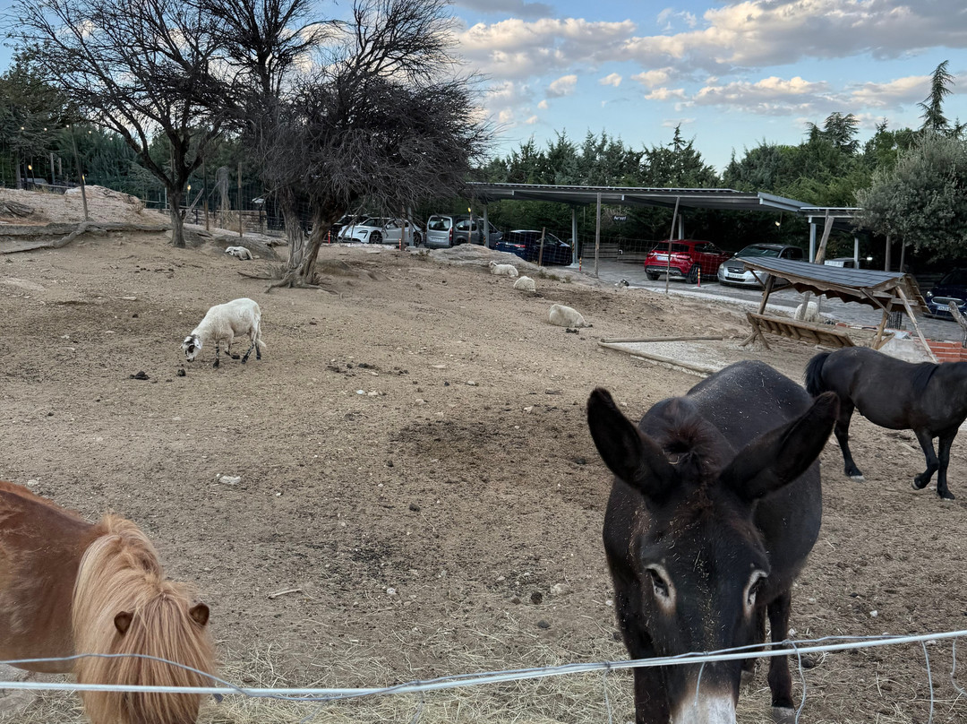 Posada SPA & Granja La Tejera de Lozoya主图