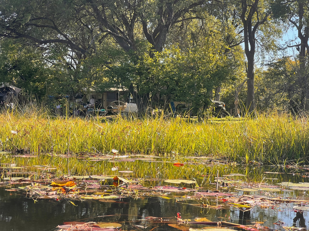 Okavango River-马翁必去景点