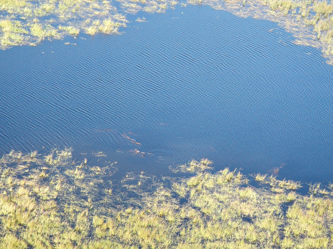 Okavango Delta-马翁必去景点