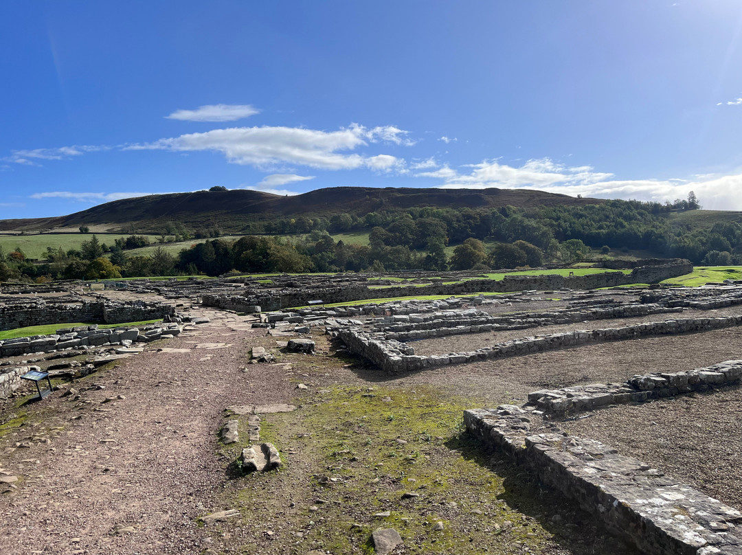 Vindolanda-赫克瑟姆必去景点