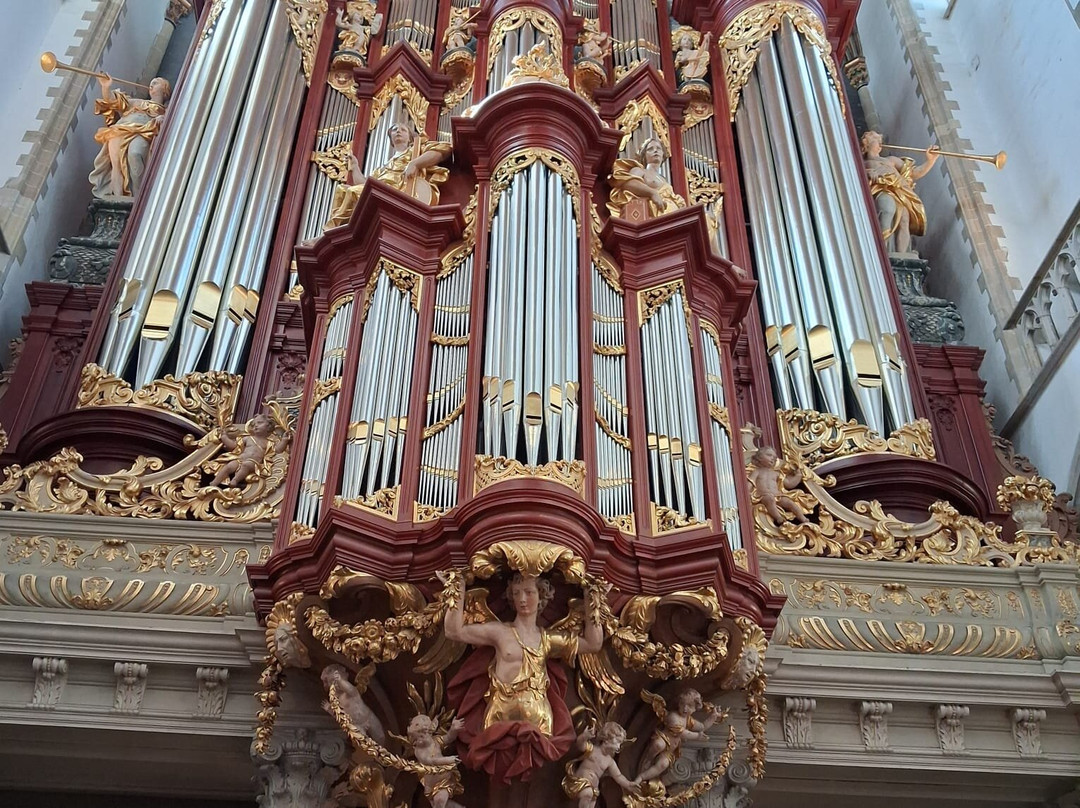 Sint-Bavokerk (Church of St. Bavo)-哈勒姆必去景点