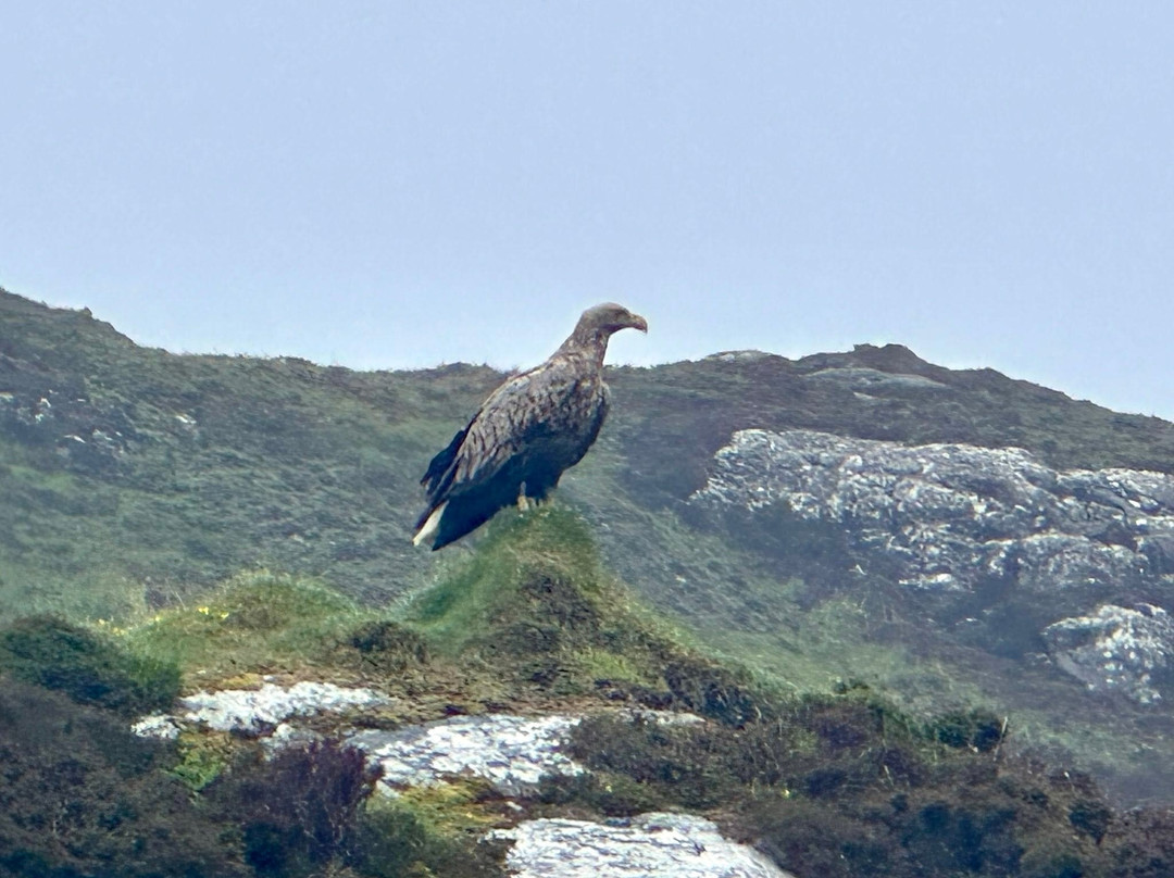 Lady Anne Wildlife Cruises-Grimsay必去景点
