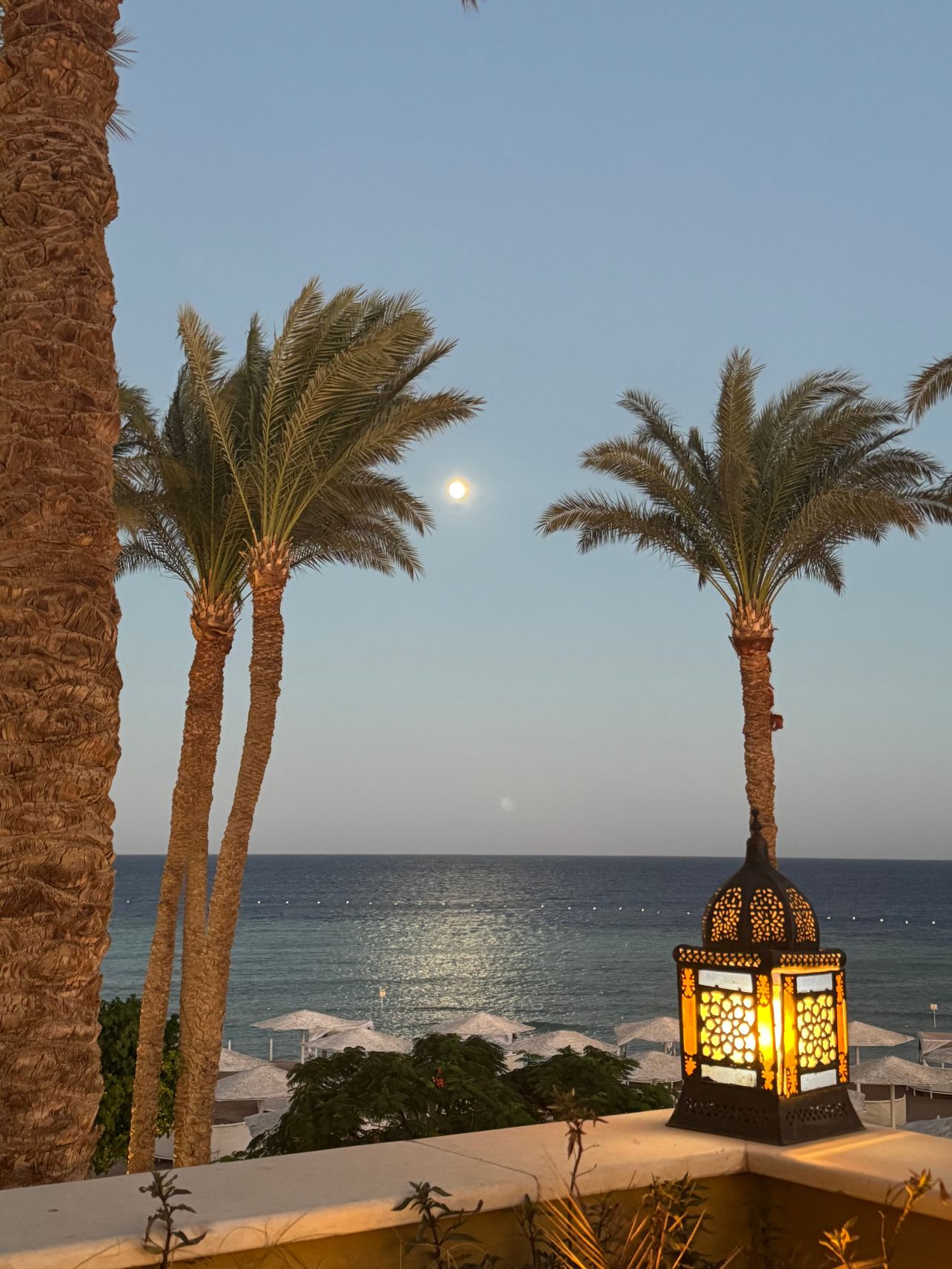 The Makadi Spa Hotel-旅行者