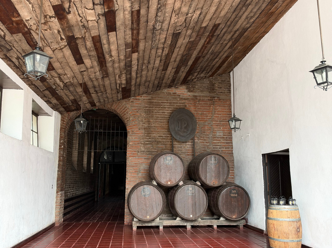 Experiencia Viña Santa Carolina-圣地亚哥必去景点