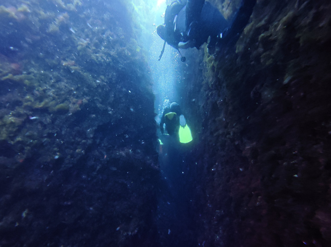Lustrica diving-Ustica必去景点