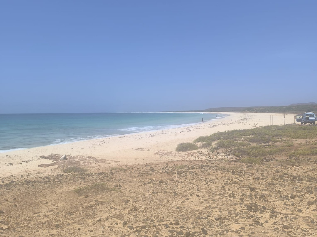 Praia de Santa Monica-博阿维斯塔必去景点