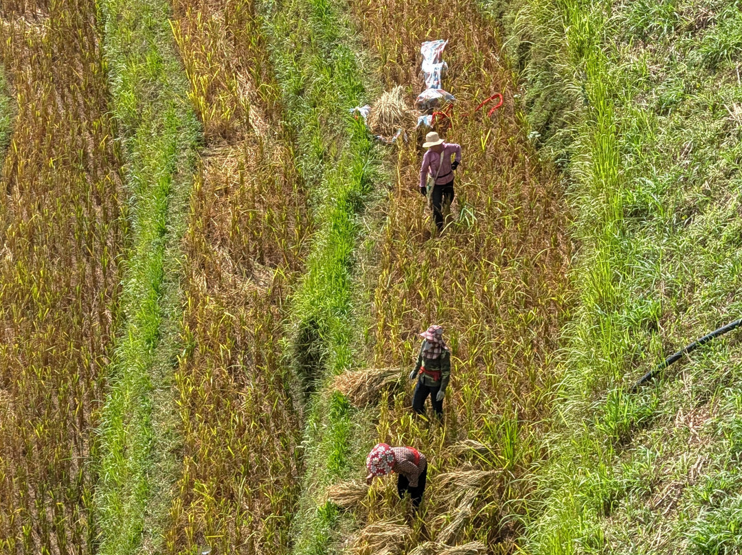 Vietnam Original Travel-胡志明市必去景点