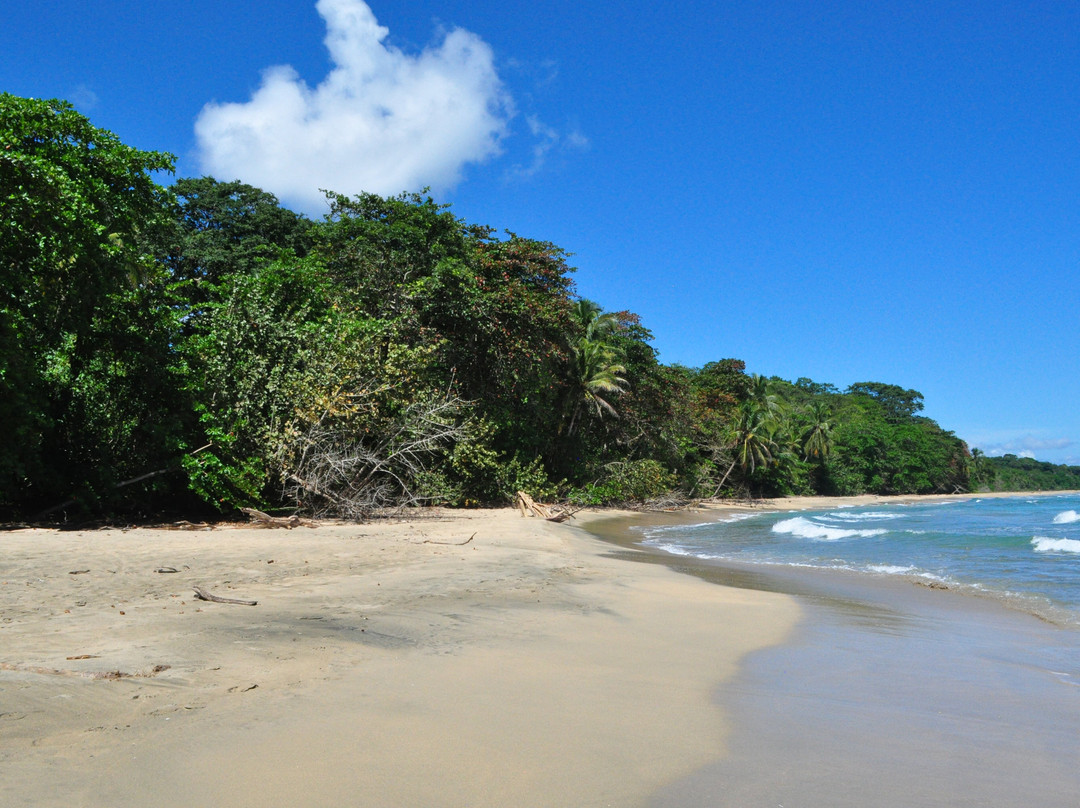 Playa Manzanillo-Manzanillo必去景点