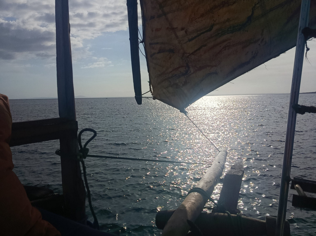Nomadic Sails-Wasini Island必去景点