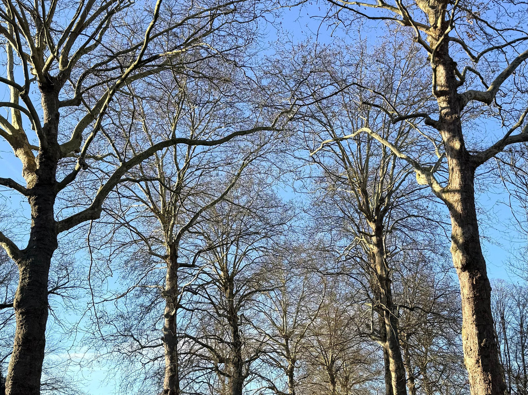 Parc Barbieux-鲁贝必去景点