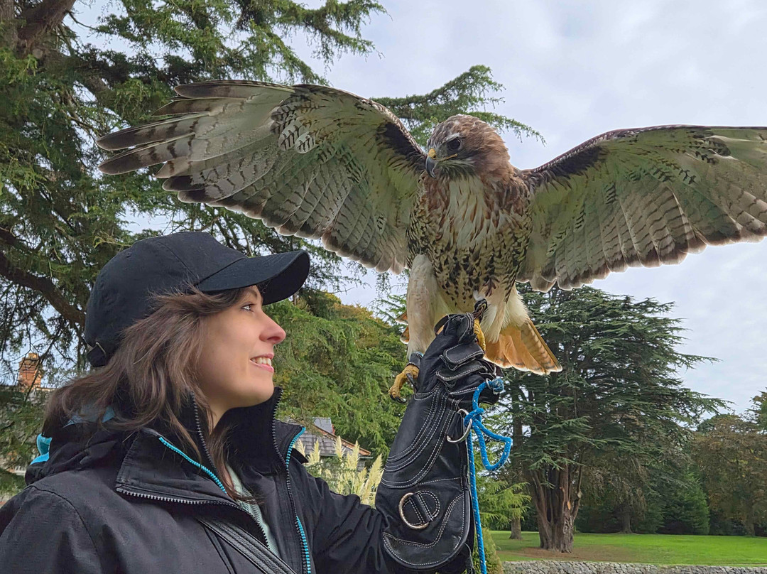 Newgrange Falconry-Julianstown必去景点