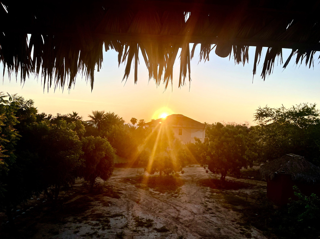 Cabo Pulmo Beach Resort主图
