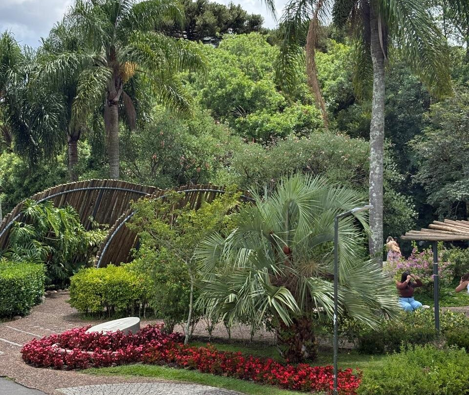 Jardim Botânico de Curitiba-库里提巴必去景点