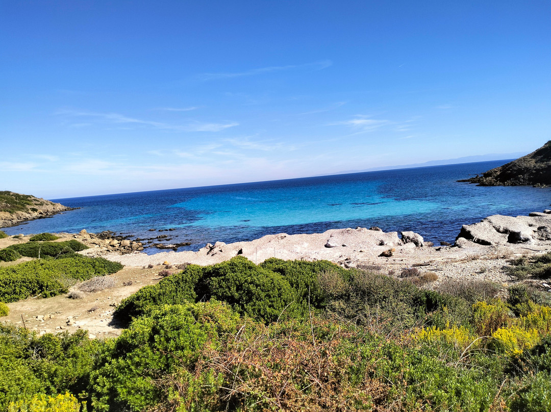 Asinara Charter Service-斯廷蒂诺必去景点
