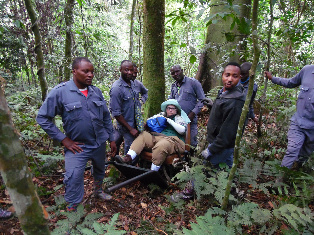 Bwindi Impenetrable Forest-Western Region必去景点