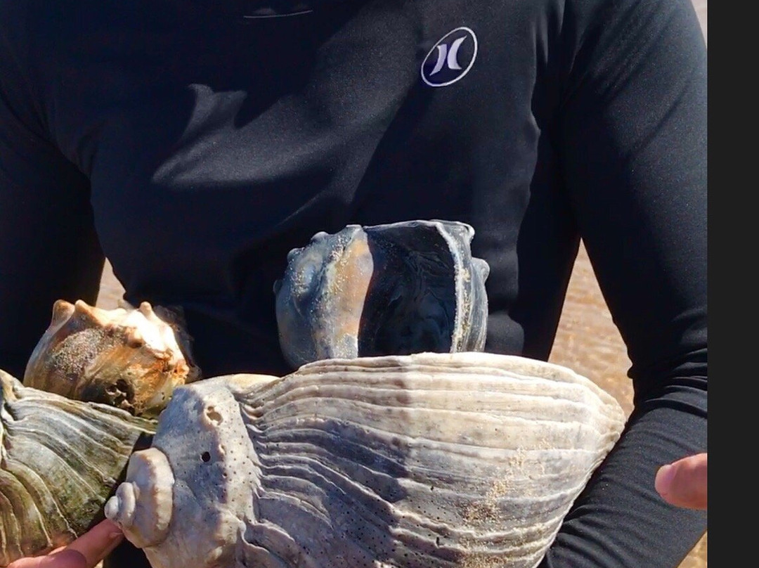Cape Point Beach-Hatteras Island必去景点