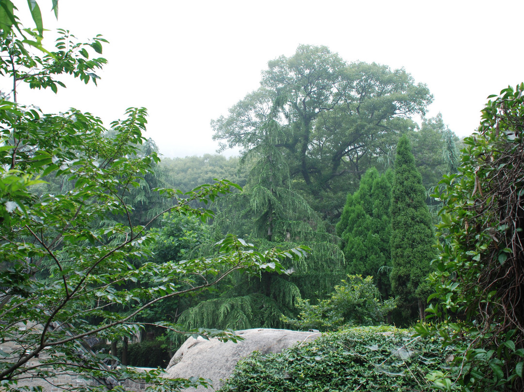 青岛八仙墩-青岛市必去景点
