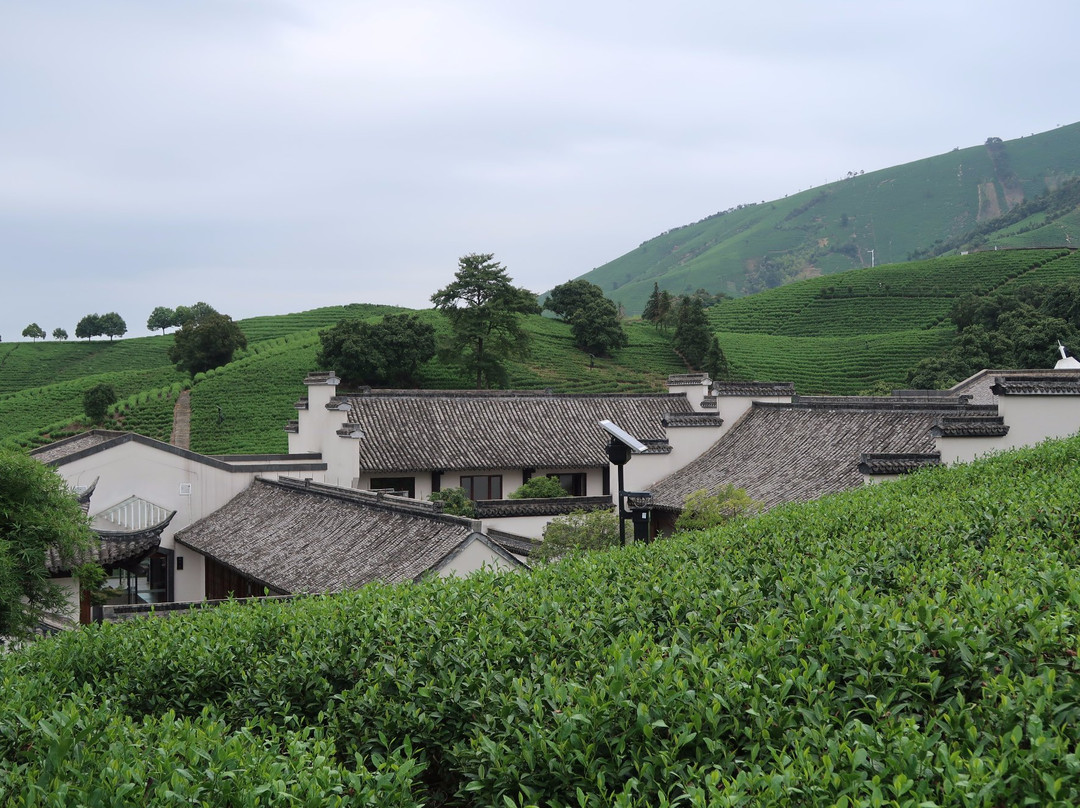 帐篷客·溪龙茶谷度假酒店主图